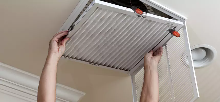 Preventive Cockroach-Proofing for Ducts in Birmingham