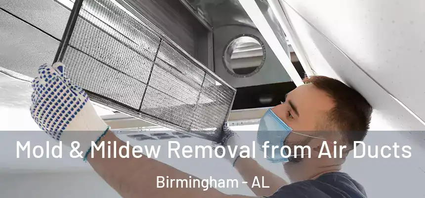  Mold & Mildew Removal from Air Ducts Birmingham - AL