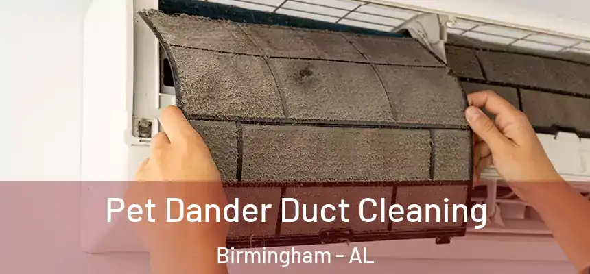 Pet Dander Duct Cleaning Birmingham - AL