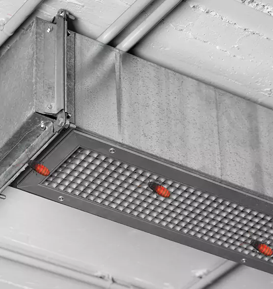 About Air Duct Cockroach Removal in Birmingham, AL