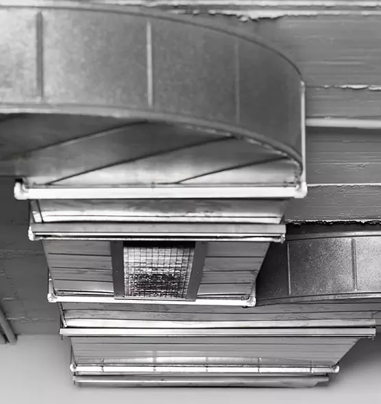 Professional Air Duct Pet Hair Removal in Birmingham, AL