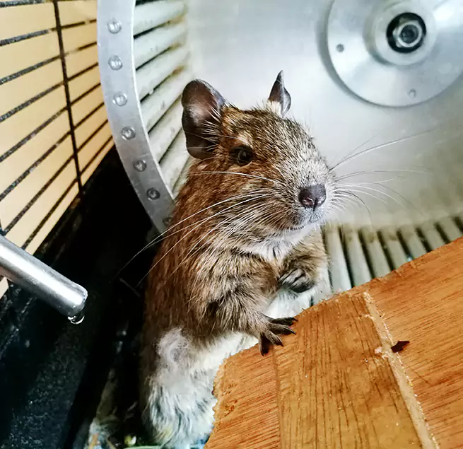 Why Homeowners & Businesses Trust Us Birmingham, AL