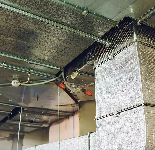 Why Homeowners & Businesses Trust Us Birmingham, AL?