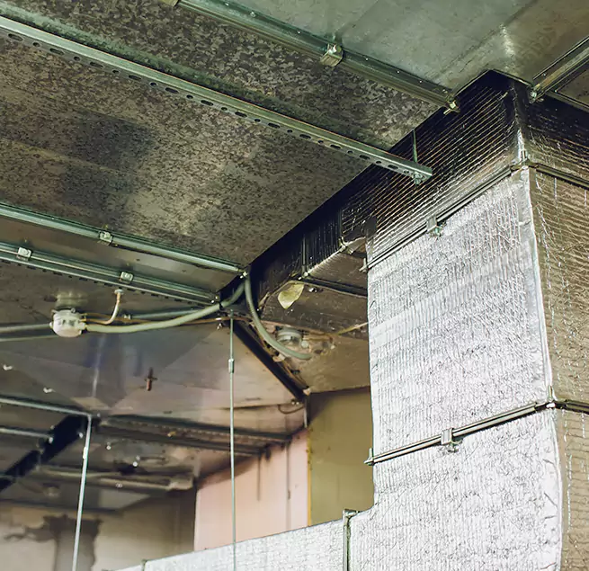 Why Homeowners & Businesses Trust Us in Birmingham, AL?